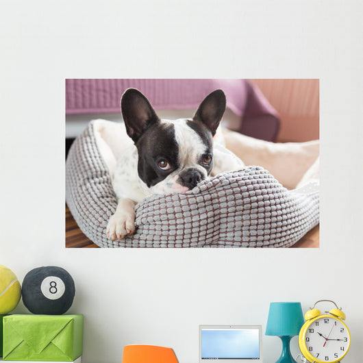 Adorable French Bulldog Lair Wall Decal