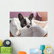 Adorable French Bulldog Lair Wall Decal