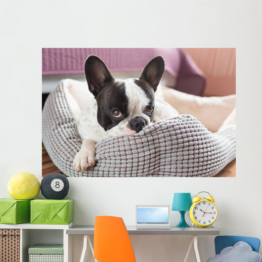 Adorable French Bulldog Lair Wall Decal