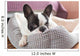 Adorable French Bulldog Lair Wall Decal