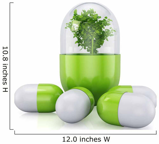 Medical Pill with Plant Wall Decal