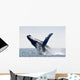 Humpback Whale Jumping Puerto Wall Decal