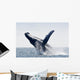 Humpback Whale Jumping Puerto Wall Decal