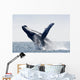 Humpback Whale Jumping Puerto Wall Decal