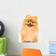 Pomeranian Dog White Wall Decal