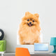 Pomeranian Dog White Wall Decal