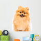 Pomeranian Dog White Wall Decal
