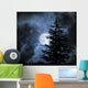 Nightly Sky with Large Wall Decal