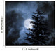 Nightly Sky with Large Wall Decal