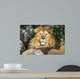 Lion Wall Decal