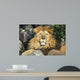 Lion Wall Decal