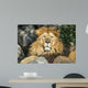 Lion Wall Decal