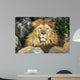 Lion Wall Decal