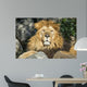 Lion Wall Decal