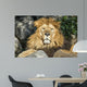 Lion Wall Decal