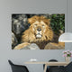 Lion Wall Decal