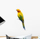 Sun Conure Parrot White Wall Decal