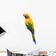 Sun Conure Parrot White Wall Decal