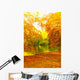 Beautiful Autumn Park Autumnal Wall Decal