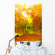 Beautiful Autumn Park Autumnal Wall Decal