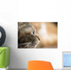 Cat Profile Closeup Wall Decal