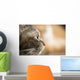 Cat Profile Closeup Wall Decal