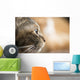 Cat Profile Closeup Wall Decal