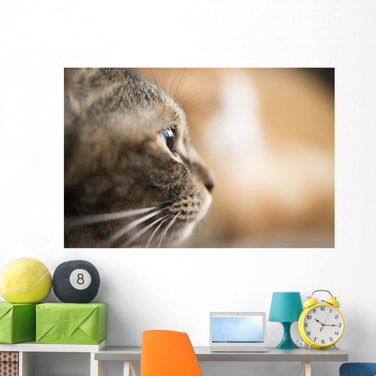 Cat Profile Closeup Wall Decal
