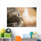Cat Profile Closeup Wall Decal