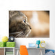 Cat Profile Closeup Wall Decal