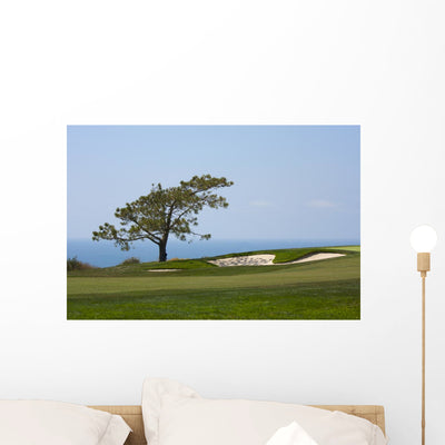 From Torrey Pines Golf Wall Decal shown on a wall