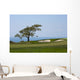 From Torrey Pines Golf Wall Decal
