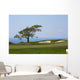 From Torrey Pines Golf Wall Decal