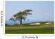 From Torrey Pines Golf Wall Decal