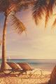 Tropical Beach Deckchairs Wall Decal