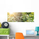 Spider's Web Wall Decal Panoramic Wall Decal