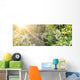 Spider's Web Wall Decal Panoramic Wall Decal