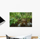 Tropical Mangrove Trees Wall Decal