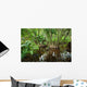 Tropical Mangrove Trees Wall Decal