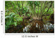 Tropical Mangrove Trees Wall Decal