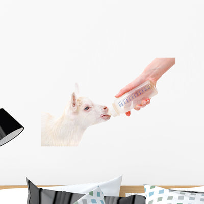 Feeding Little Goat Wall Decal shown on a wall
