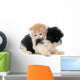 Persian Kitten and Puppy Wall Decal