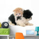 Persian Kitten and Puppy Wall Decal