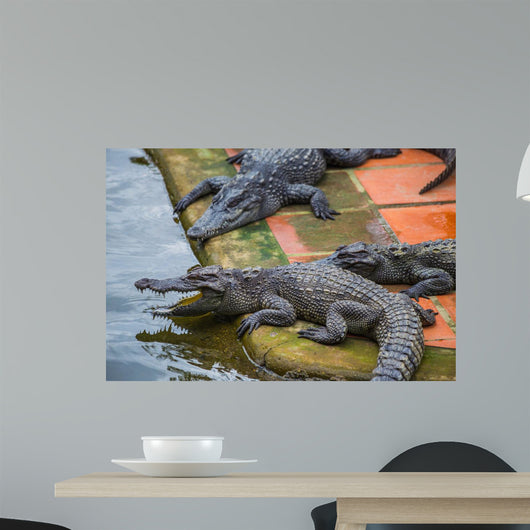 Water Bodies Crocodile Farm Wall Decal