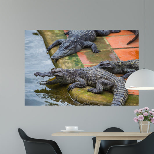 Water Bodies Crocodile Farm Wall Decal