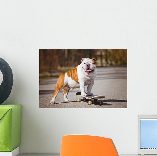 English Bulldog Skateboard Wall Decal