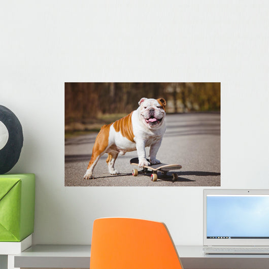 English Bulldog Skateboard Wall Decal