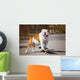 English Bulldog Skateboard Wall Decal