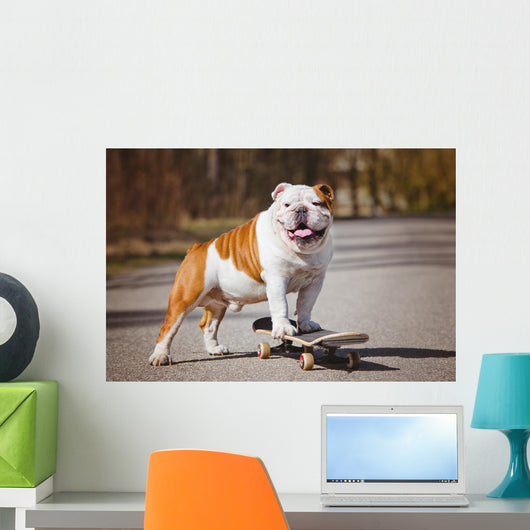 English Bulldog Skateboard Wall Decal