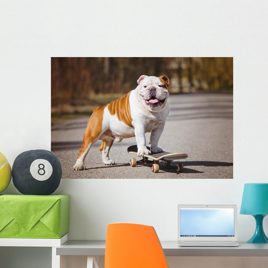 English Bulldog Skateboard Wall Decal